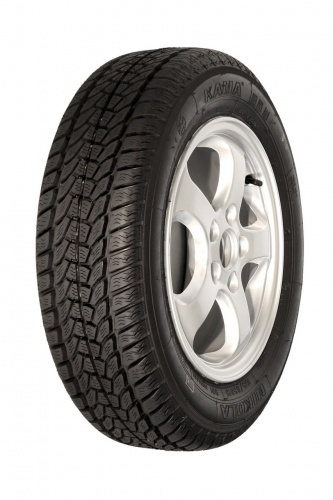 195/65/15 Кама Nikola