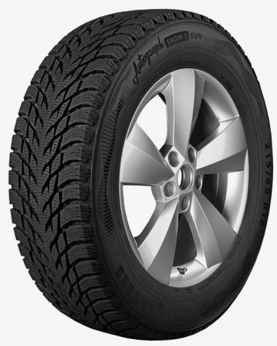 215/55/18 Ikon Tyres Autograph Snow 3 99R нешип (БК)